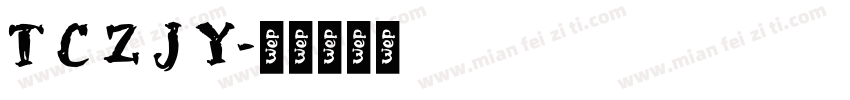 T C Z J Y字体转换